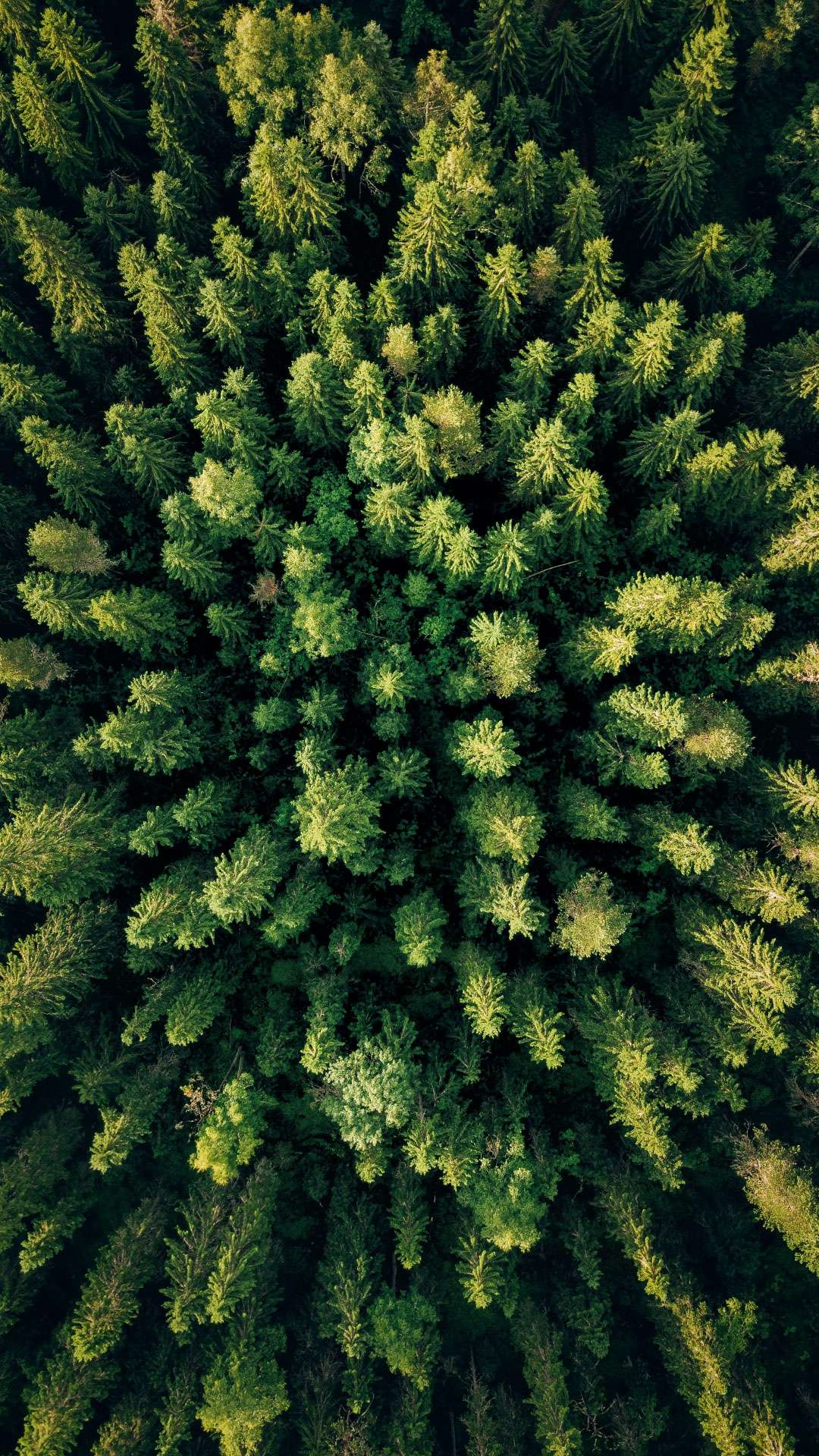 5K resolution